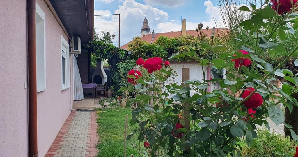 Apartman Ksenija Ðakovo Eksteriør bilde